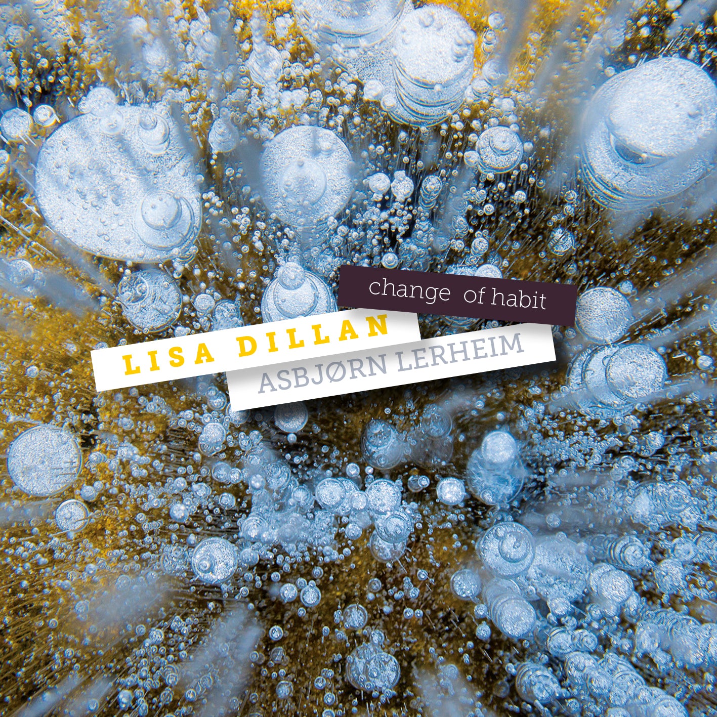 Lisa Dillan & Asbjørn Lerheim // Change of Habit // CD