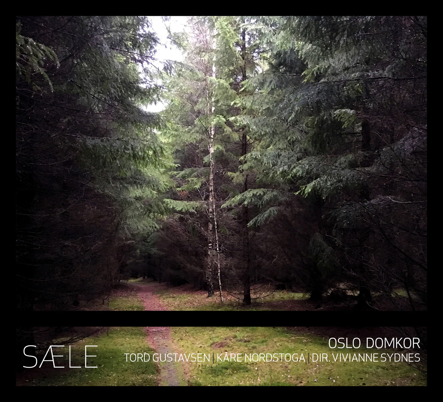 Oslo Domkor // Sæle // CD